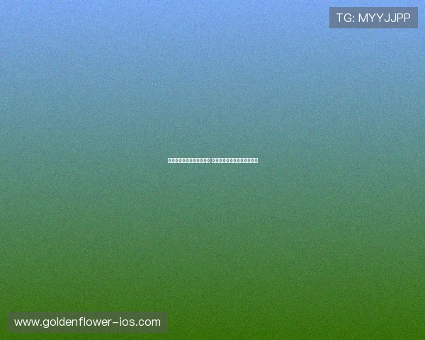 帕楚利亚领衔篮球传奇之路 从硬汉到冠军功勋的奋斗历程